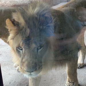 Meet your Posher, Aftyn